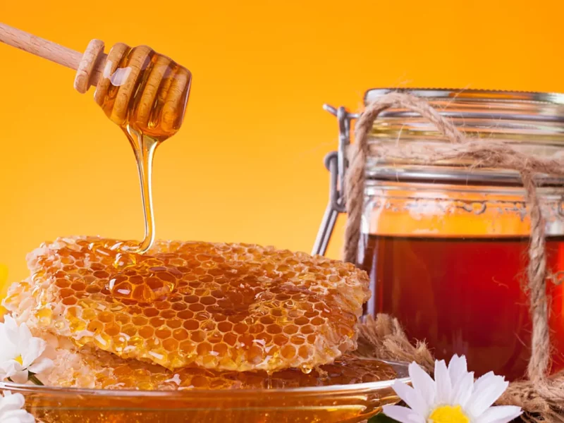 foire miel boumerdès